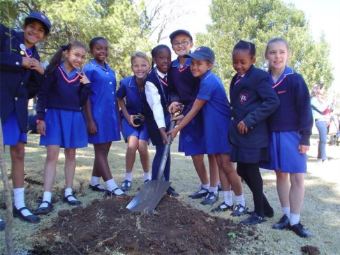 Best Primary Schools in Johannesburg 2022