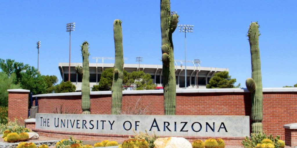 Global Wildcat Freshman Tuition Award At University Of Arizona In USA, 2021