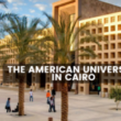 Al Alfi Foundation Sustainable Development Fellowship at American Univ