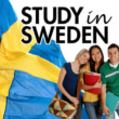 Scholarships at Linnaeus University in Sweden 2021/2022