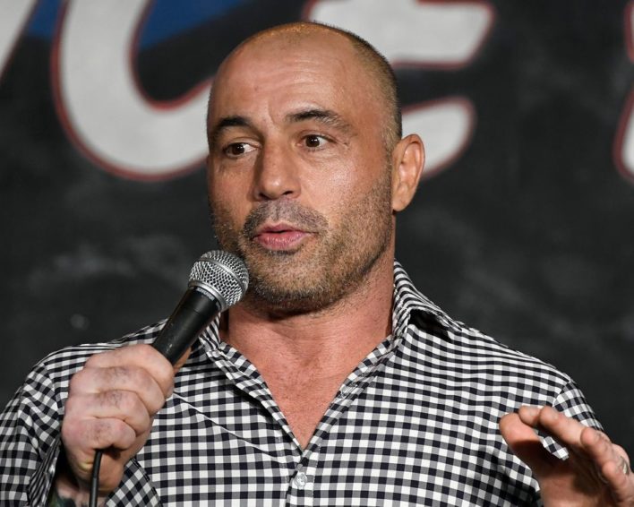 Joe Rogan Net Worth 2025 Estimated Value Dominic Edmunds