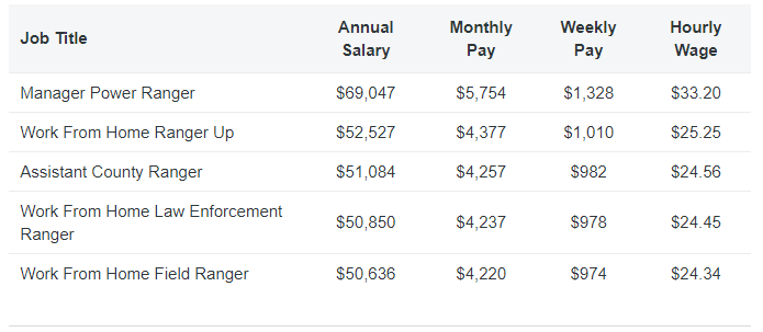 Texas Rangers Police Salary 2022