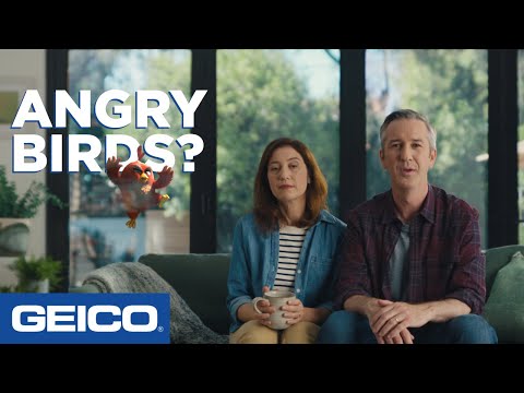 Actors and Actress in GEICO Commercials