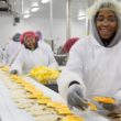 Food Manufacturing Companies In South Africa