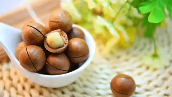 Why Are Macadamia Nuts so Expensive?