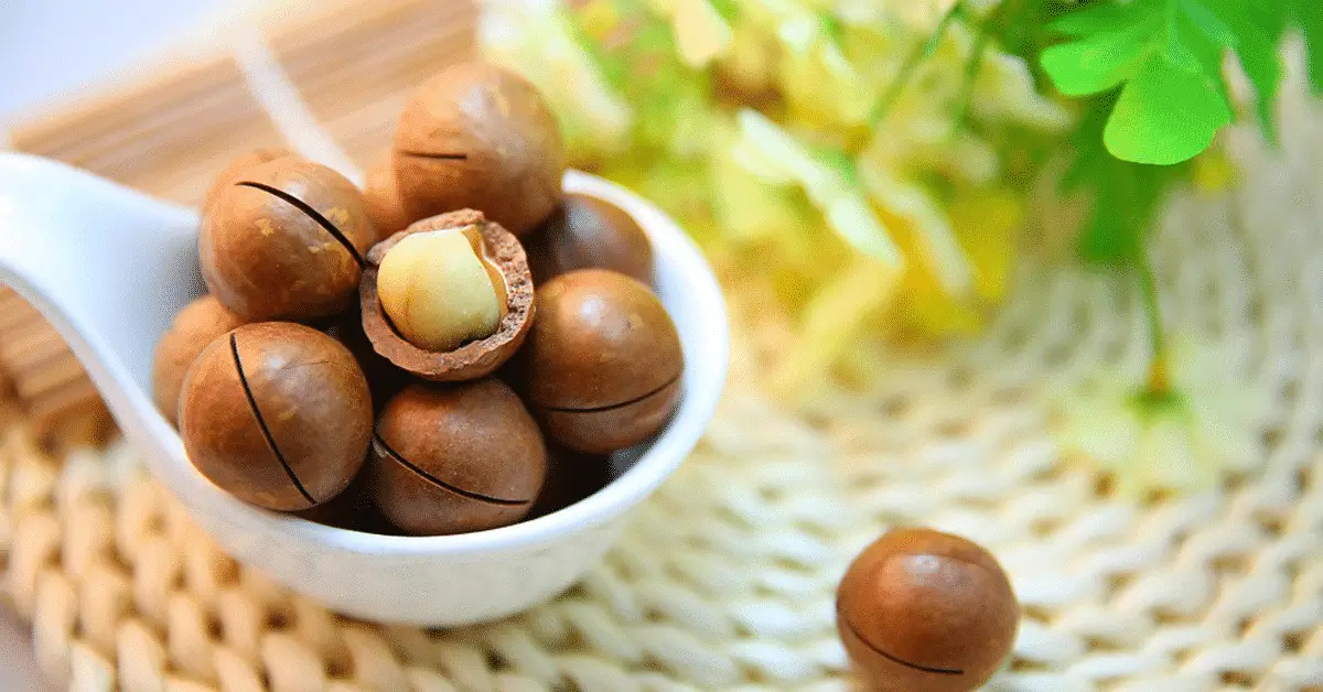 Why Are Macadamia Nuts so Expensive?