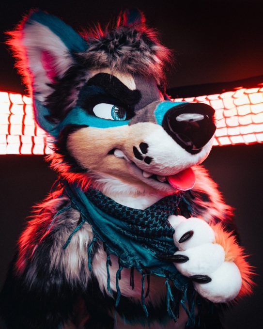 Most Expensive Fursuits