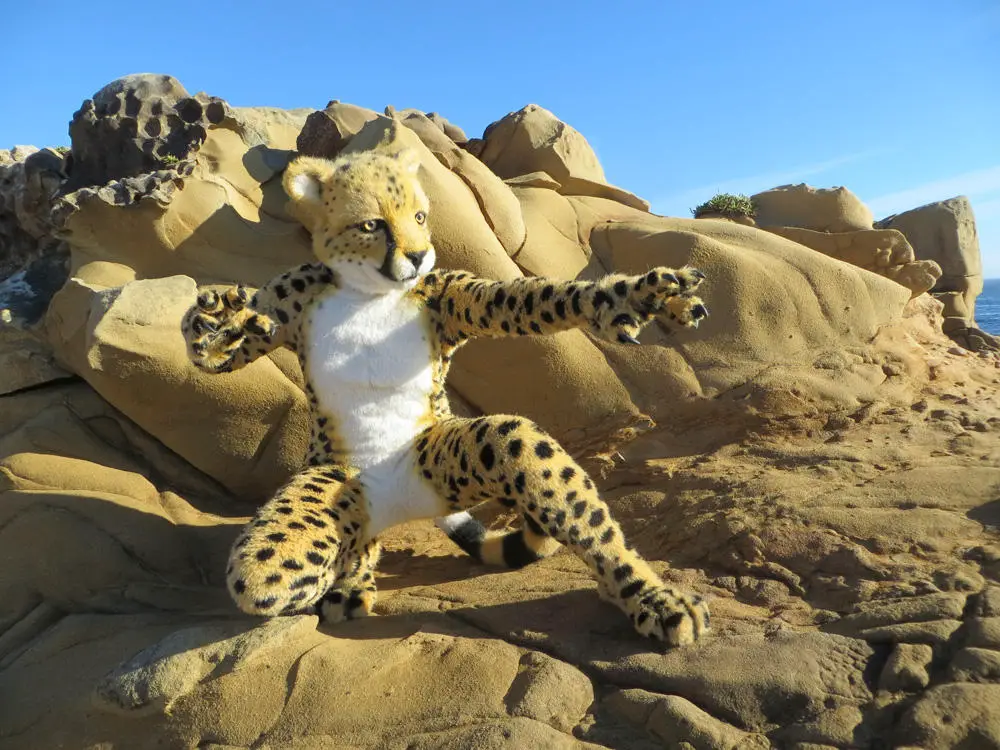 Most Expensive Fursuits In The World 2023