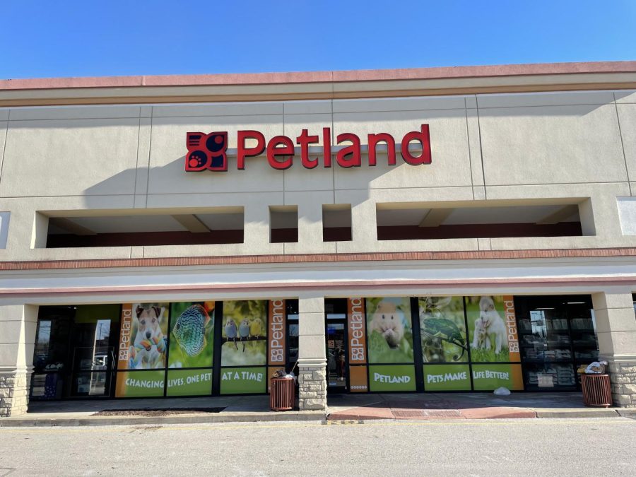 Why Is Petland So Expensive in