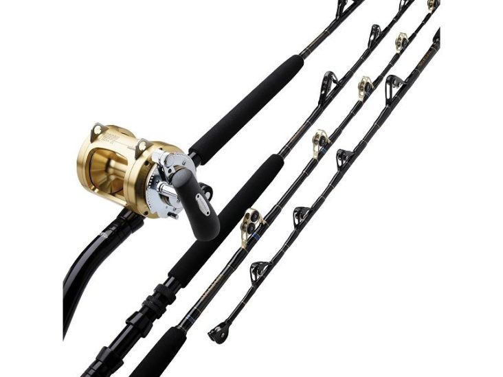 5 Most Expensive Fishing Rods on the Market 2024 [UPDATED]