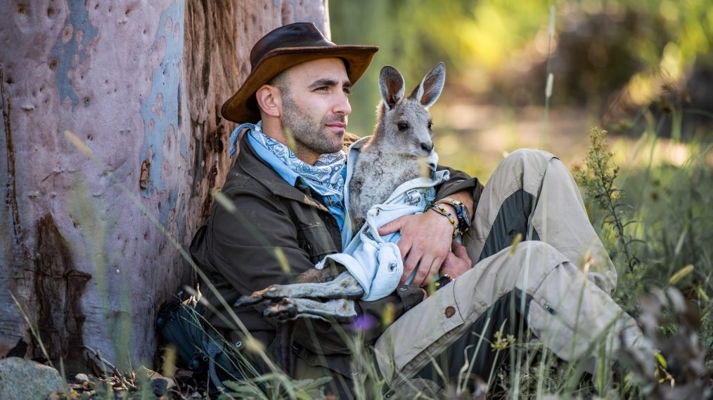 Coyote Peterson net worth