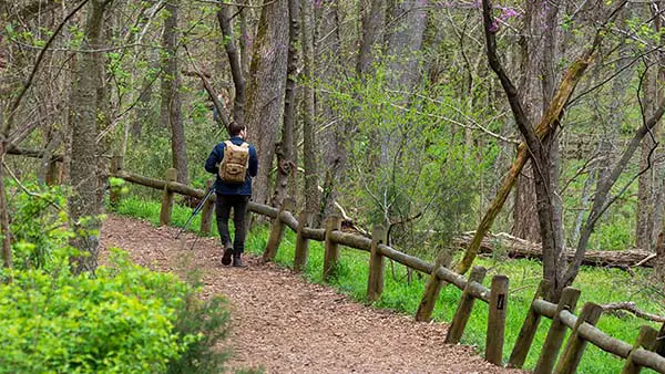 Local’s Guide to the Best Hiking Near Nashville 2023