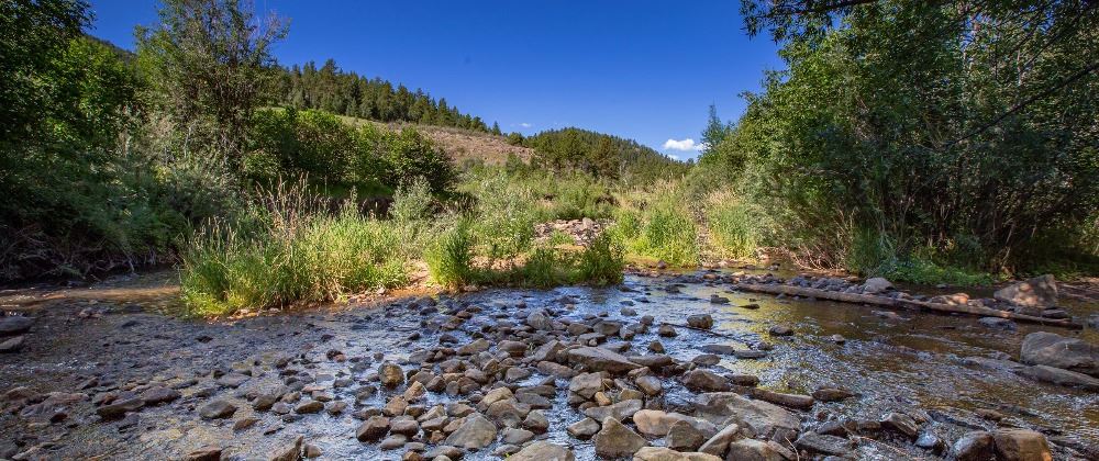 20 Best Hikes Near Denver Colorado