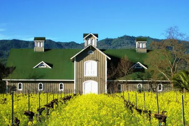 Most Beautiful Wineries in Napa Valley 