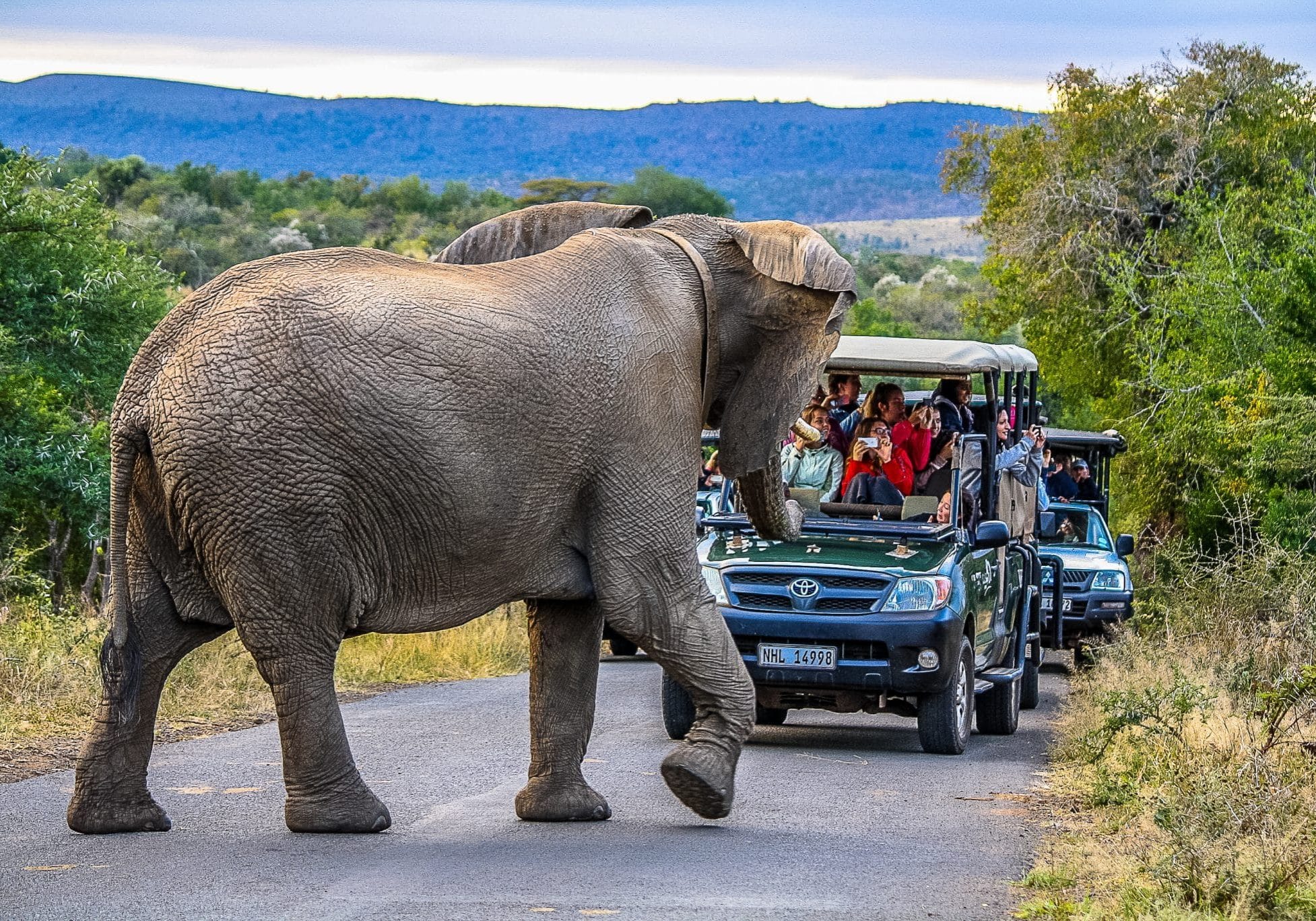 Best Safaris in Africa