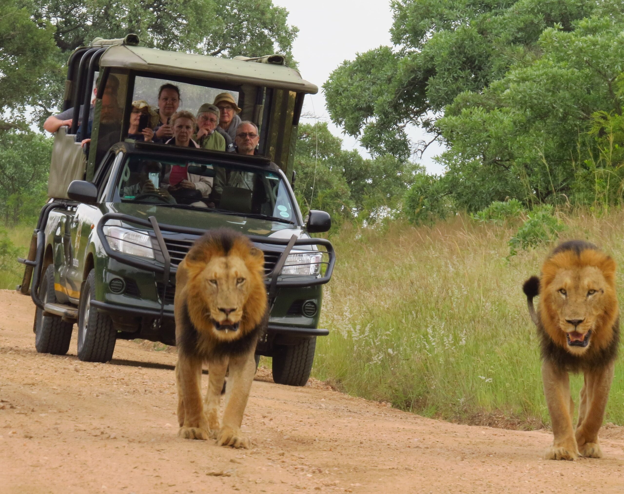 Best Safaris in Africa