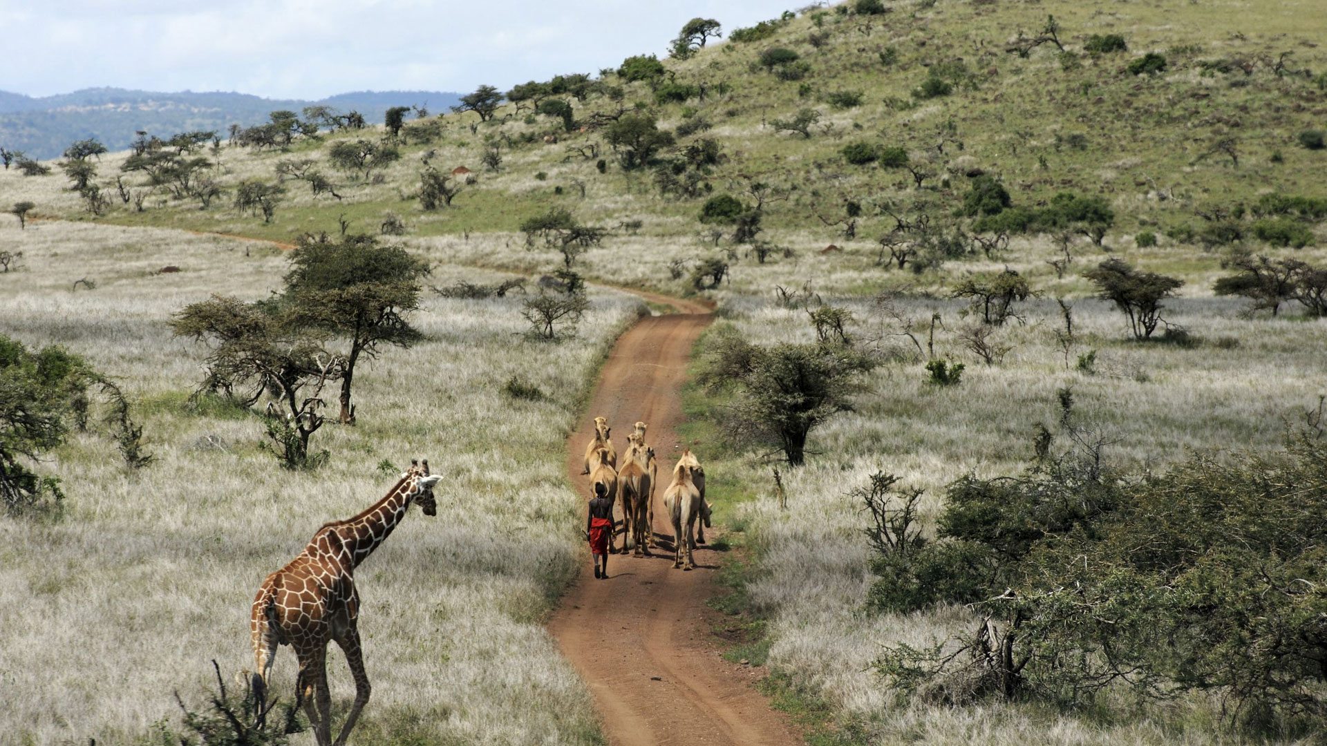 Best Safaris in Africa