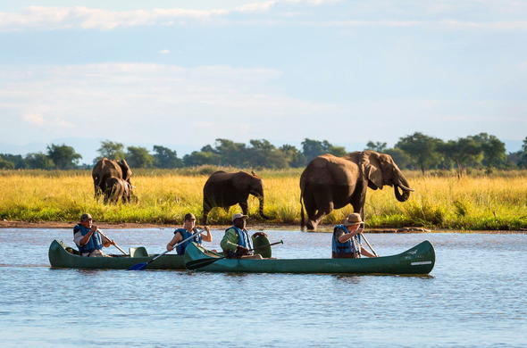 Best Safaris in Africa