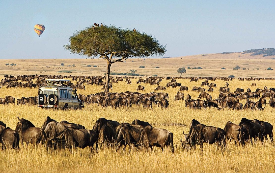 Best Safaris in Africa