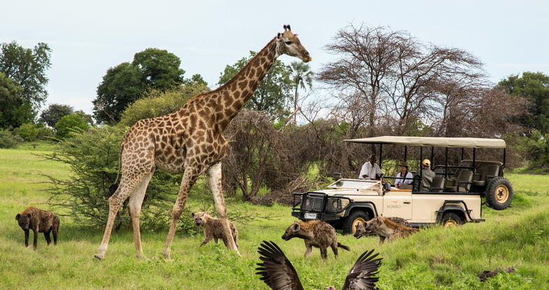 Best Safaris in Africa