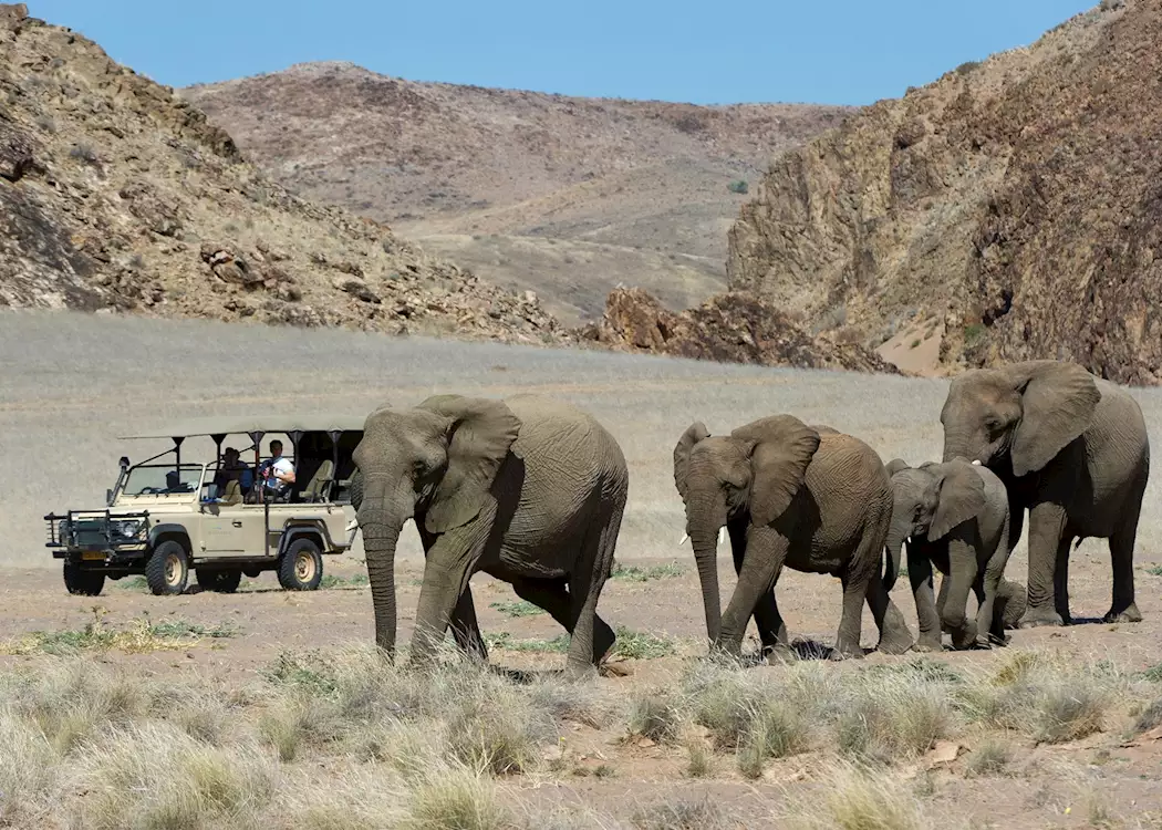 Best Safaris in Africa