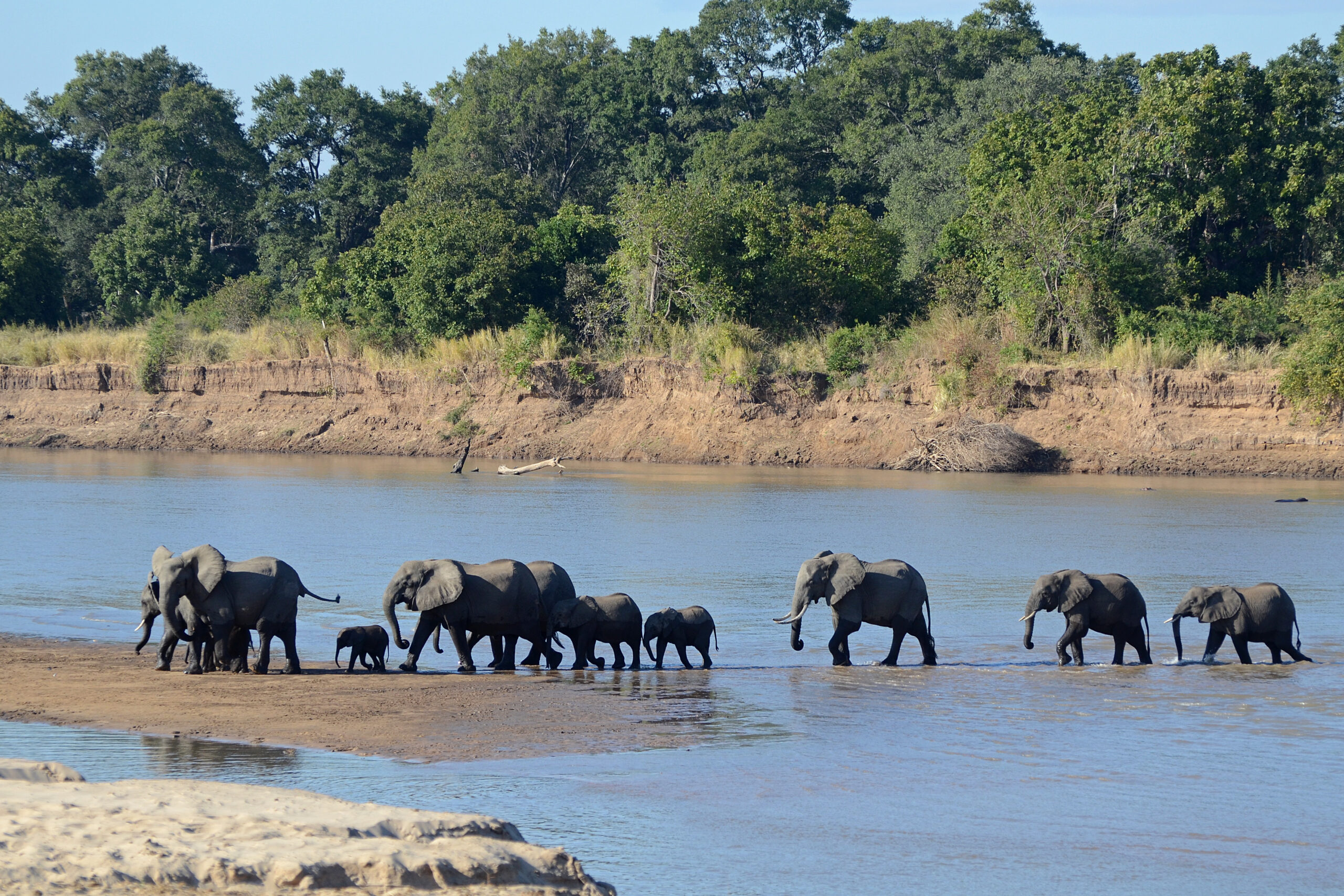 Best Safaris in Africa