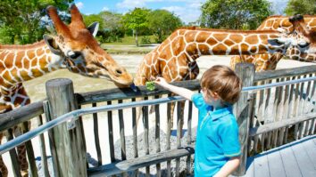 Best Zoos in America