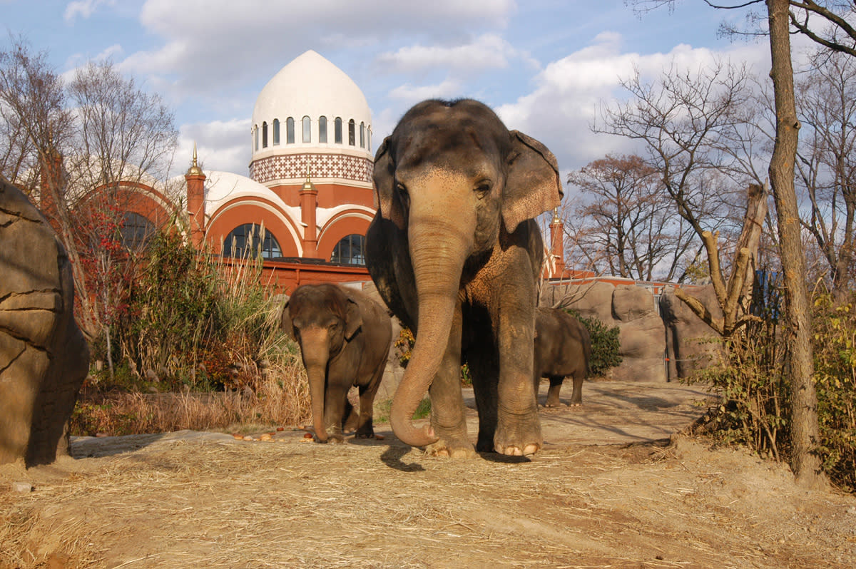 Best Zoos in America