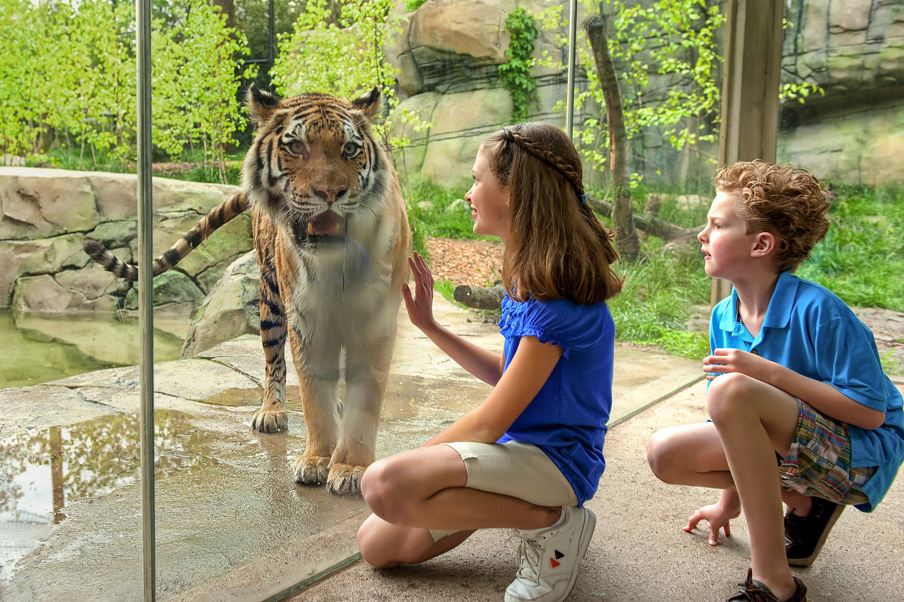 Best Zoos in America