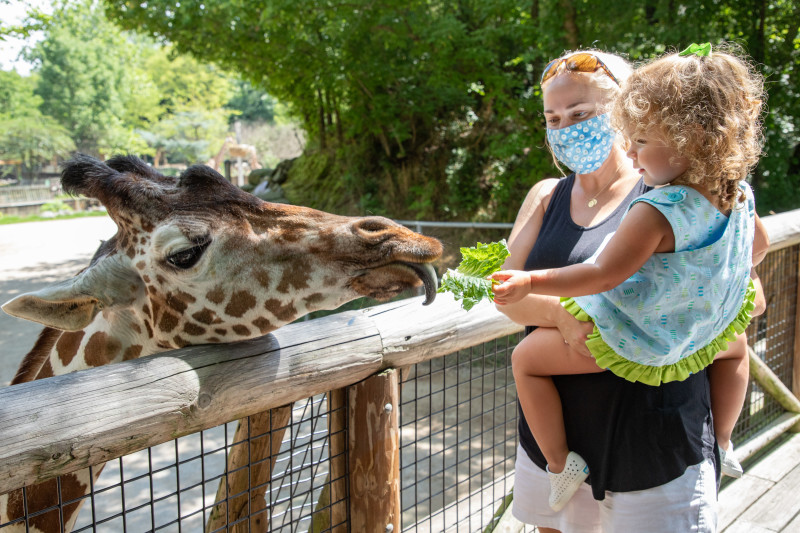 Best Zoos in America