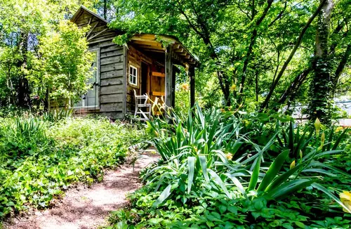 Coolest Cabin Rentals in Texas