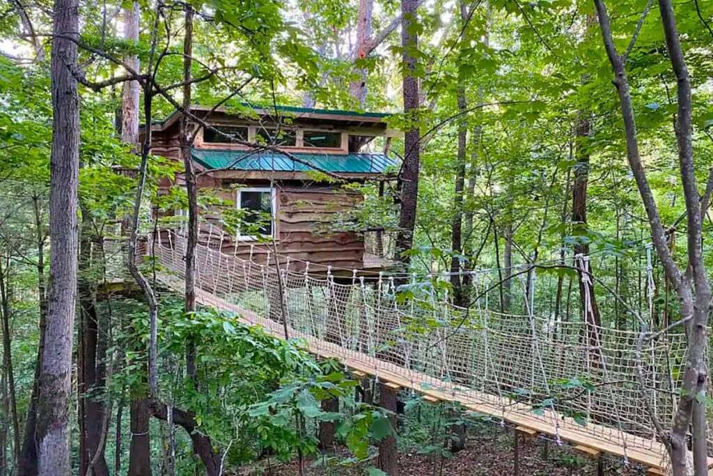 Dreamy Treehouse Rentals in North Carolina