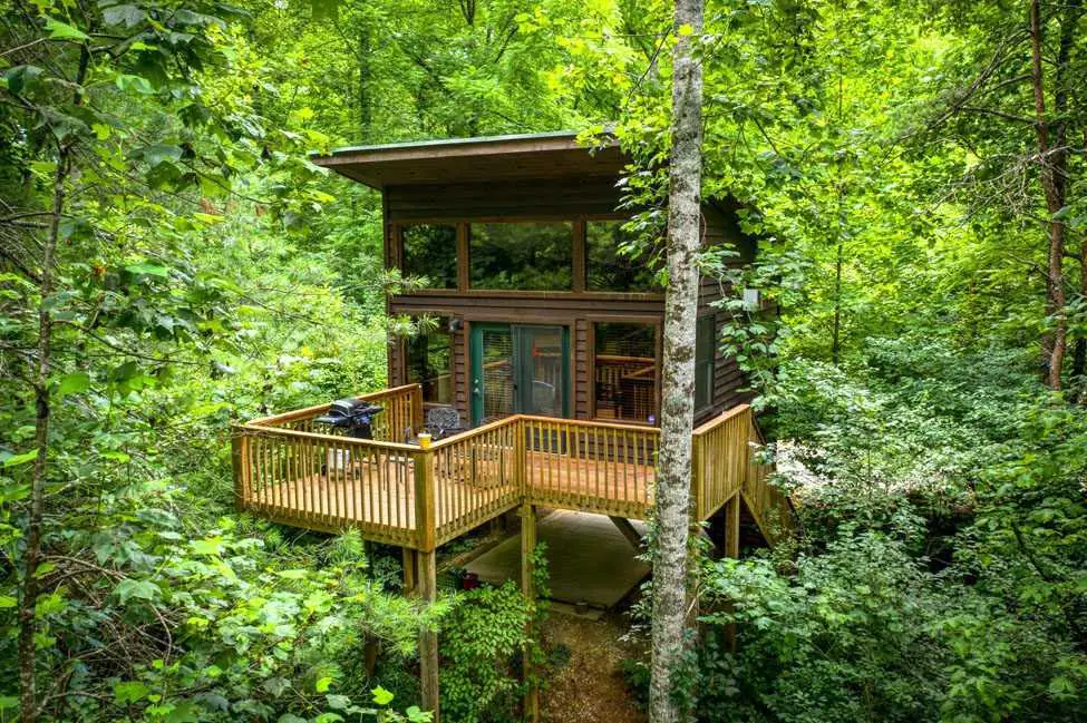Dreamy Treehouse Rentals in North Carolina