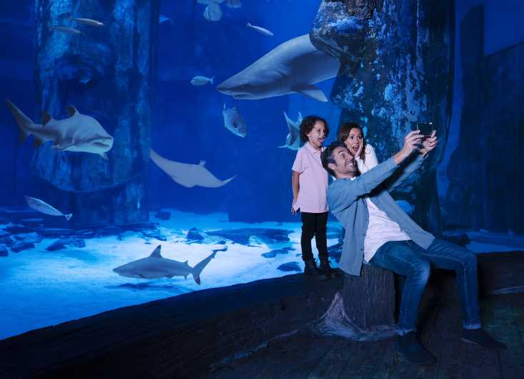 best-aquariums-in-north-carolina