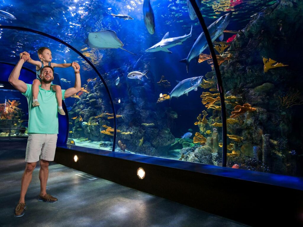 best-aquariums-in-texas