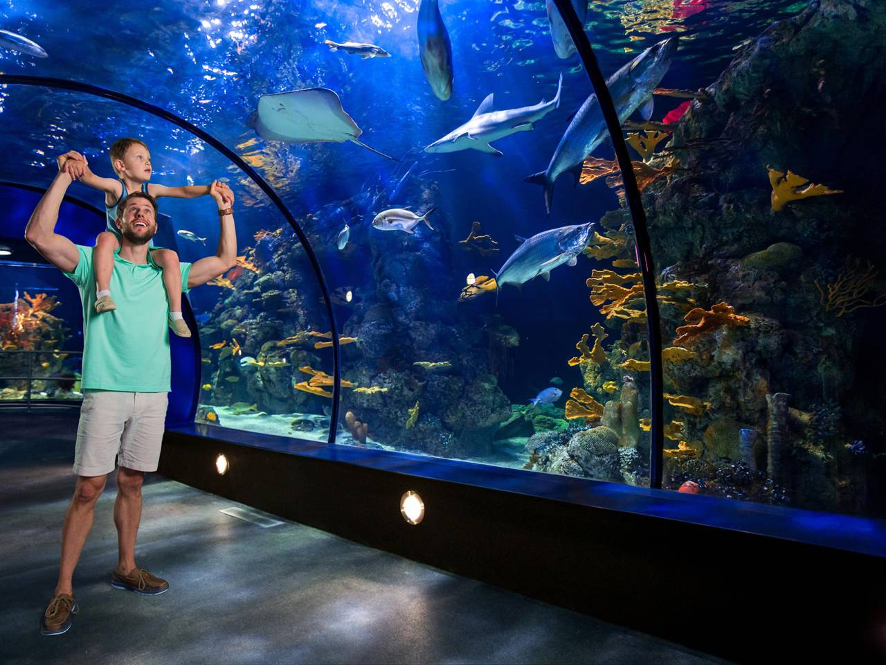 6 best aquariums in texas 2023 newshub360