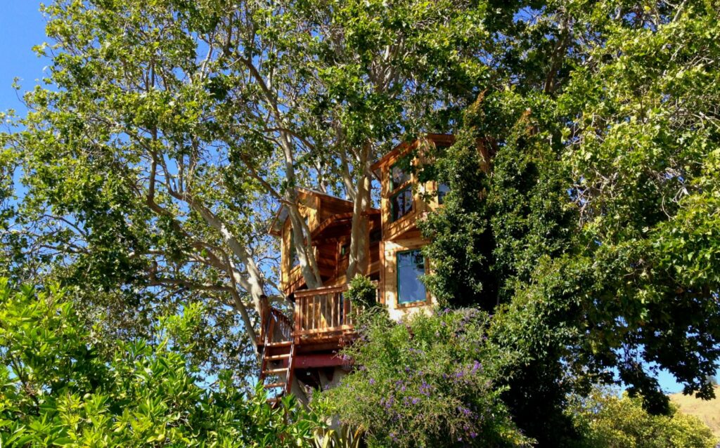 treehouse-rentals-california
