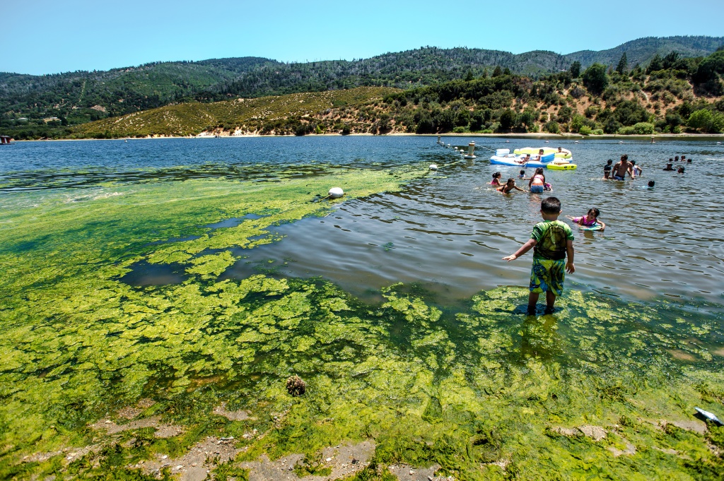 swimming-lakes-near-los-angeles