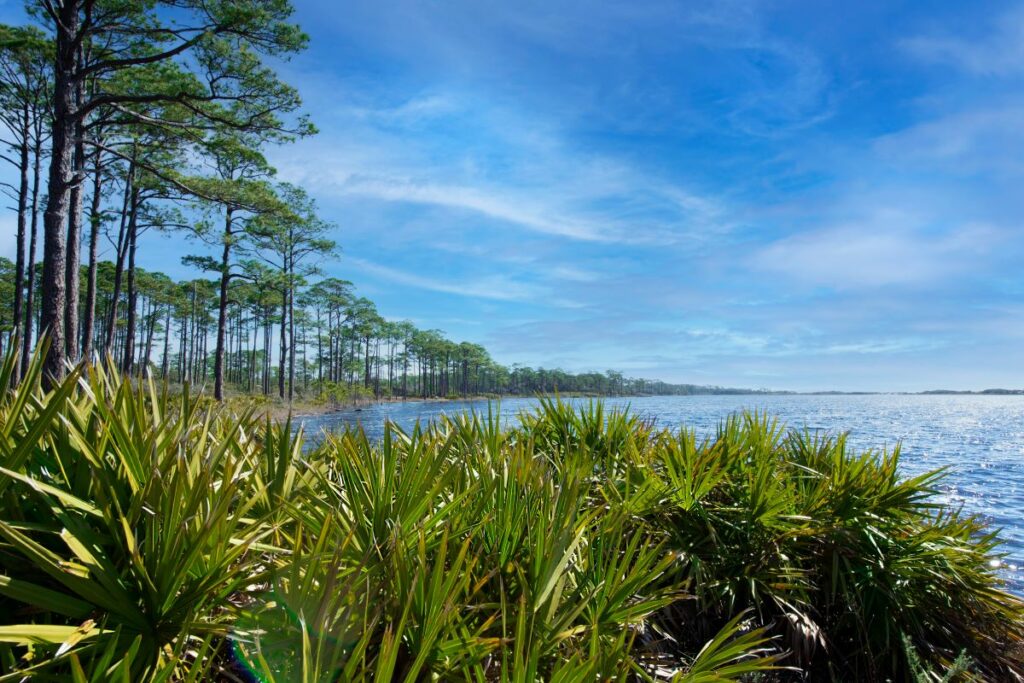 beaches-near-destin-florida