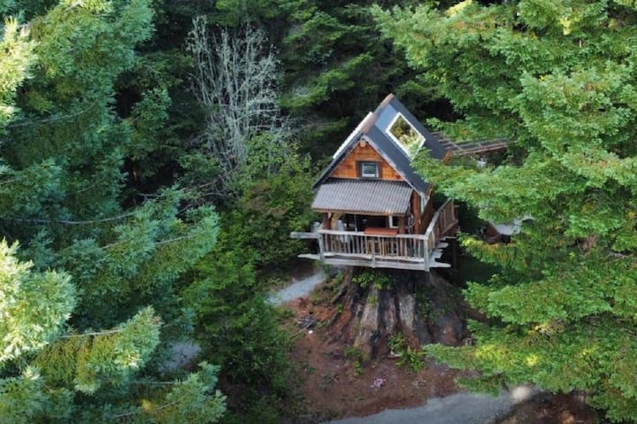 treehouse-rentals-california