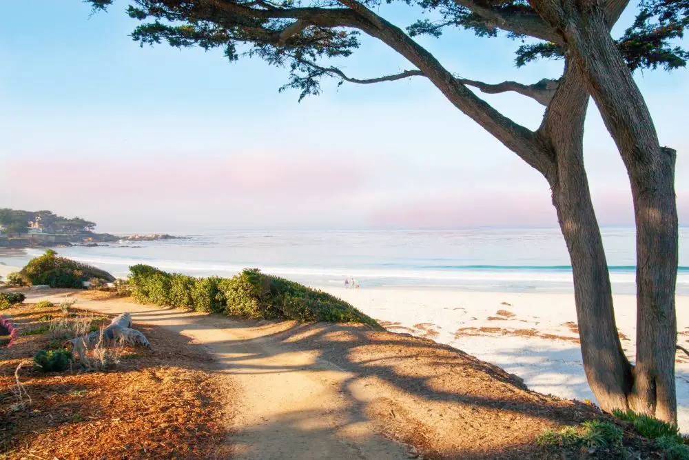 best-beaches-in-california