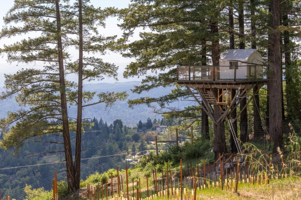 treehouse-rentals-california