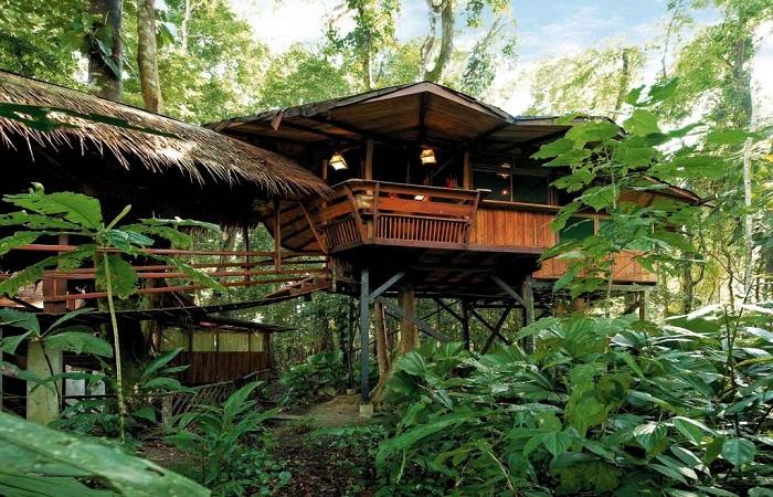 treehouses-in-florida