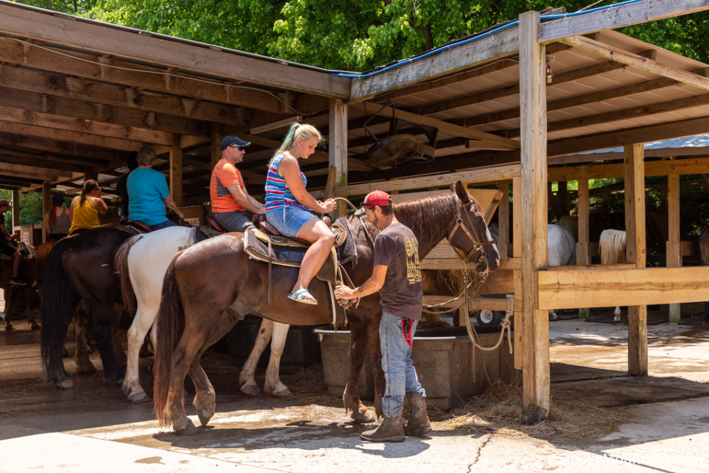 best-dude-ranches-tennessee