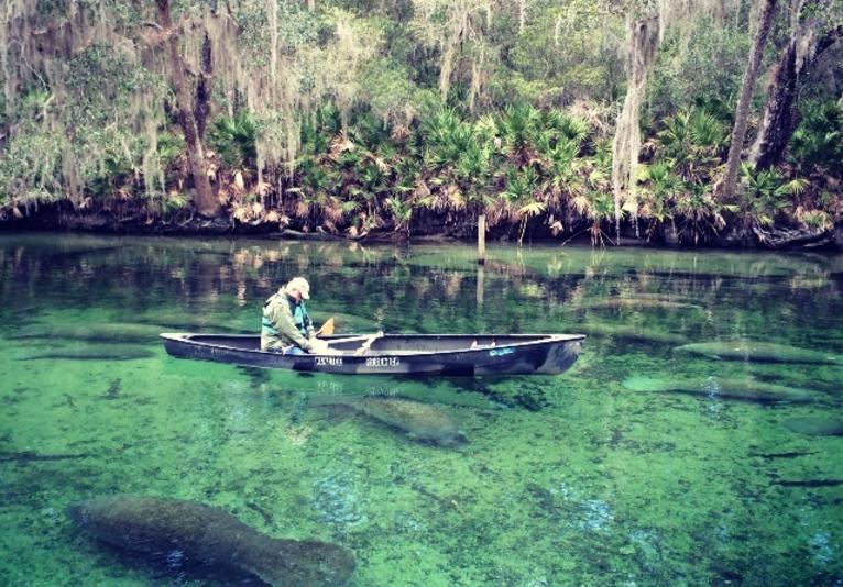 best-places-to-go-tubing-in-florida