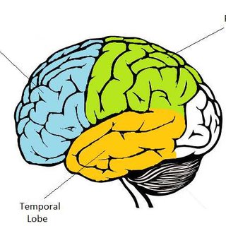 Rarest Mental Illnesses