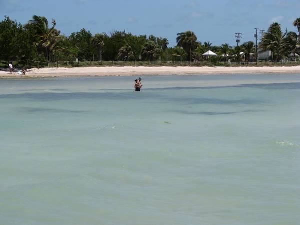 best-beaches-in-key-west-florida