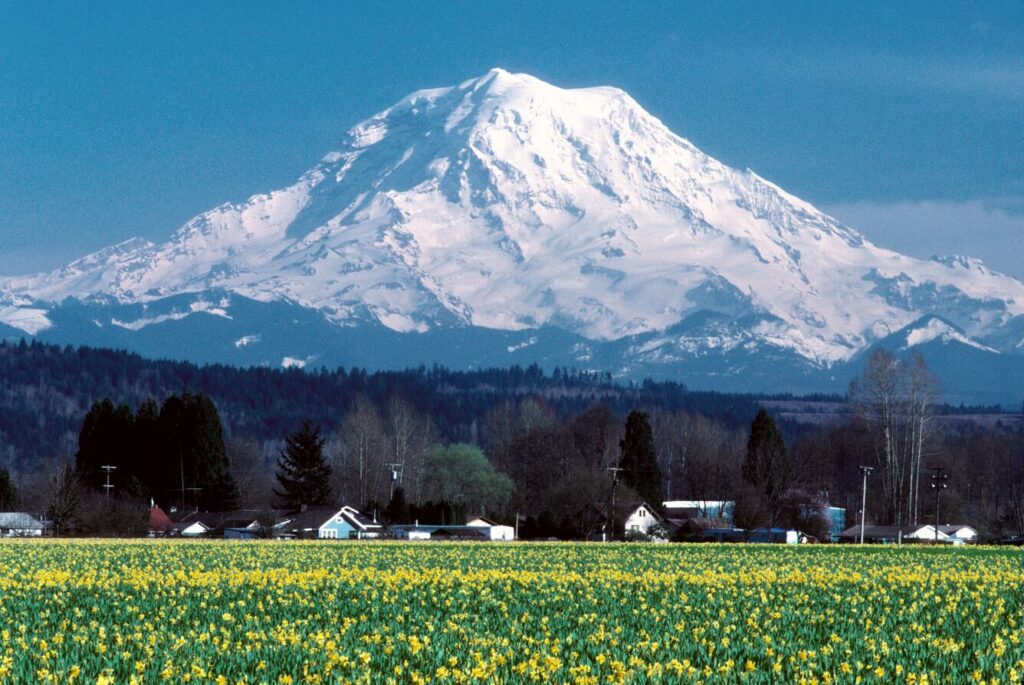 Best Cabin Vacation Destinations in the U.S