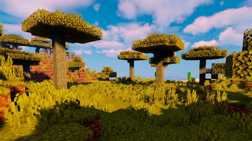 Rarest Biomes in Minecraft