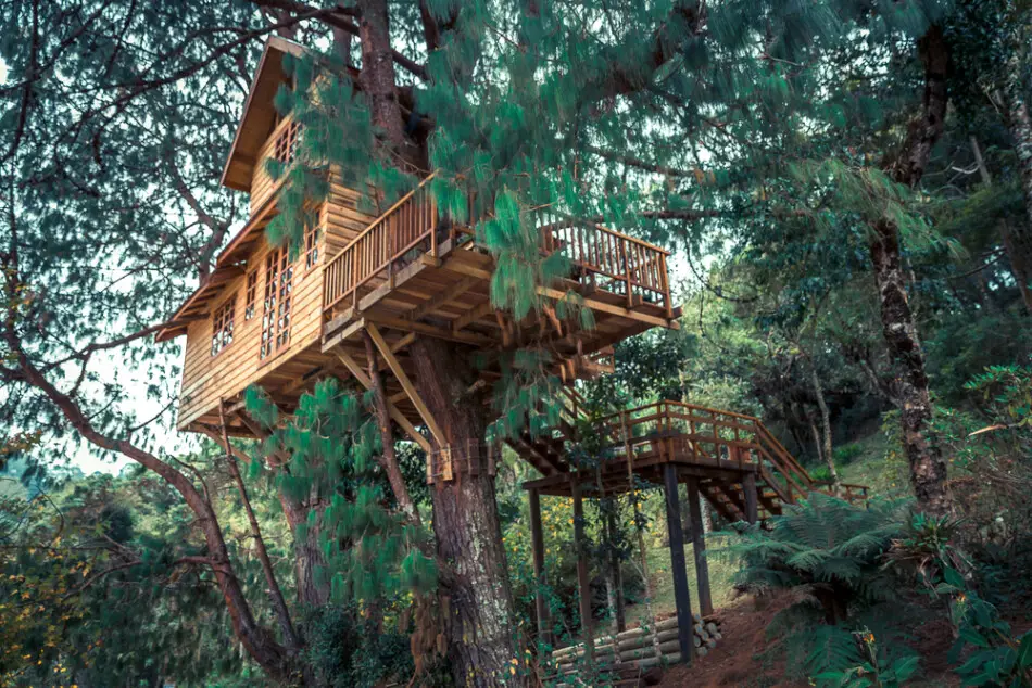 treehouses-in-florida